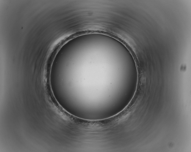 X0000097610979200802291258