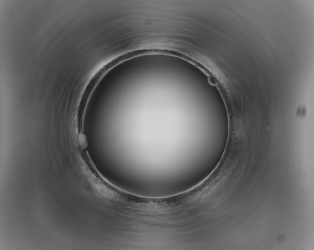 X0000097610980200802291258