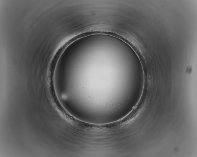 X0000097610981200802291258