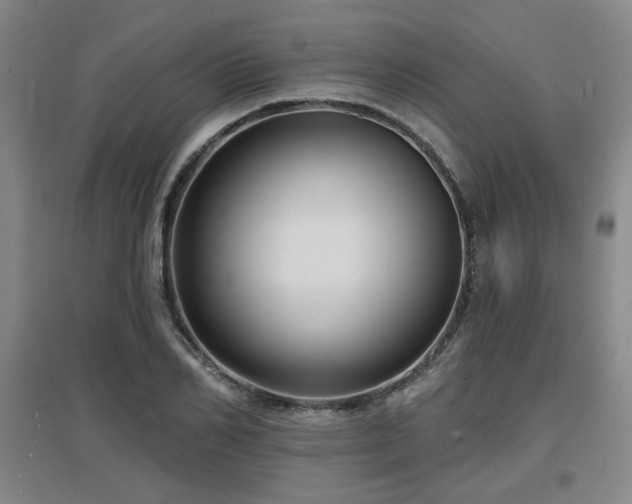 X0000097610982200802291258