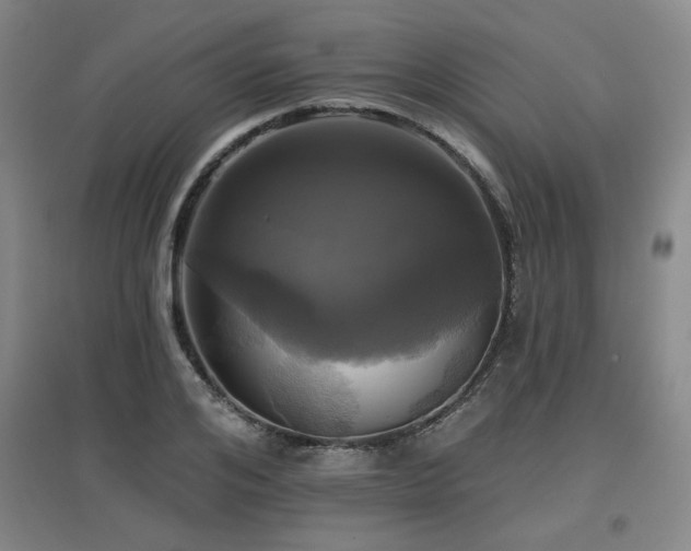 X0000097610984200802291258