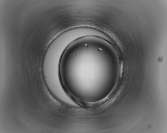 X0000097610985200802291258