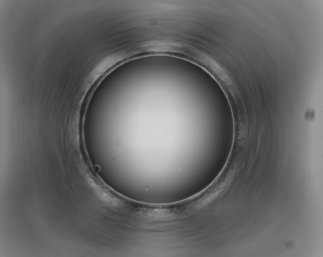 X0000097610986200802291258