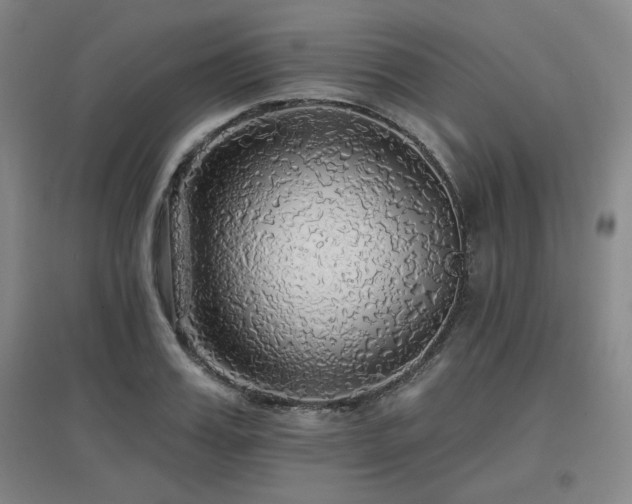 X0000097610987200802291258