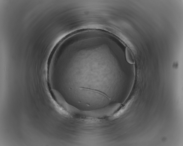 X0000097610988200802291258