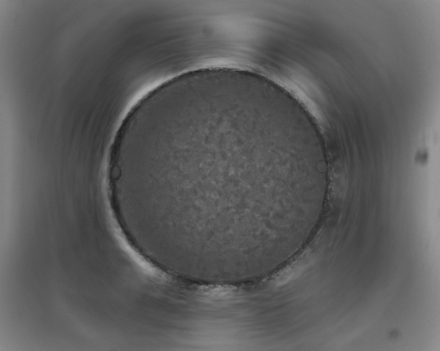 X0000097610991200802291258