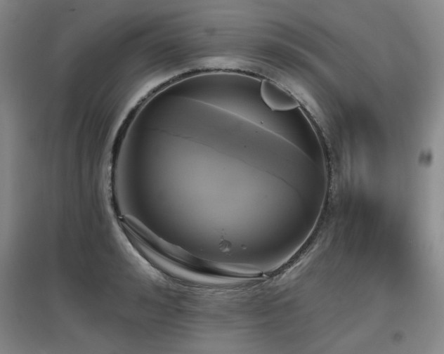 X0000097610992200802291258