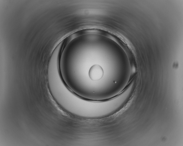 X0000097610993200802291258