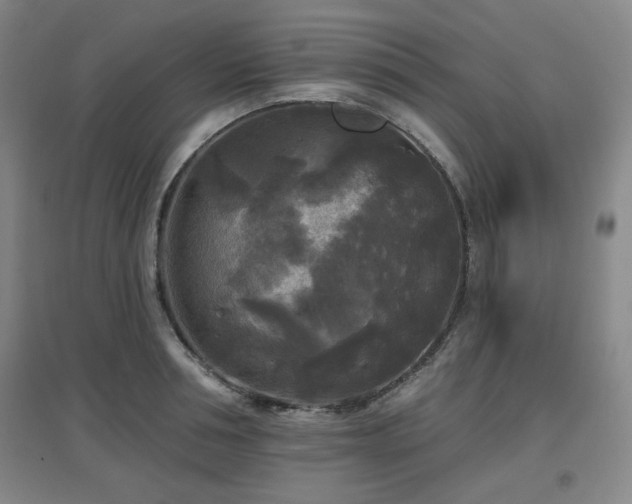 X0000097610994200802291258