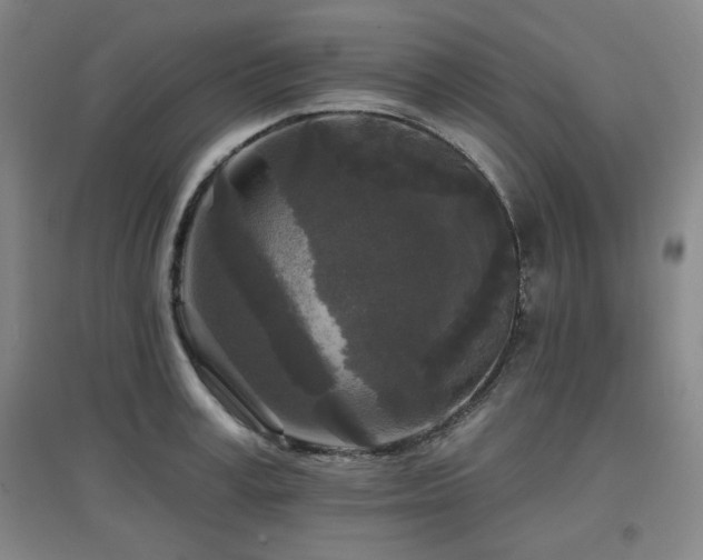 X0000097610995200802291258