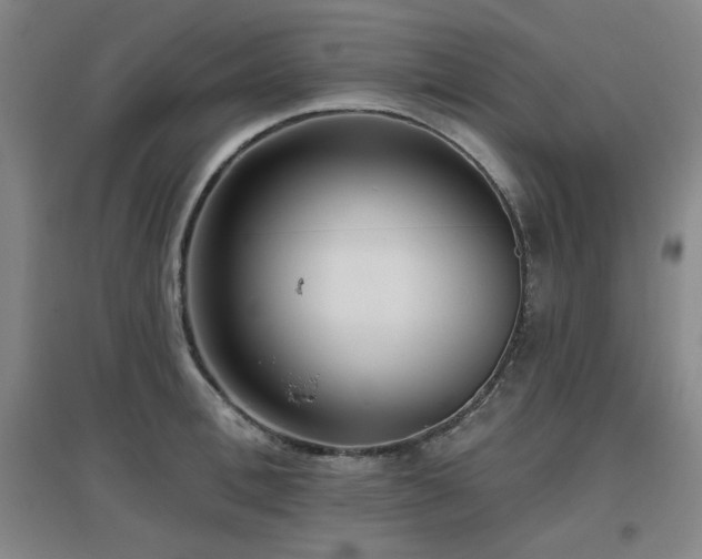 X0000097610996200802291258