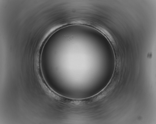 X0000097611000200802291258