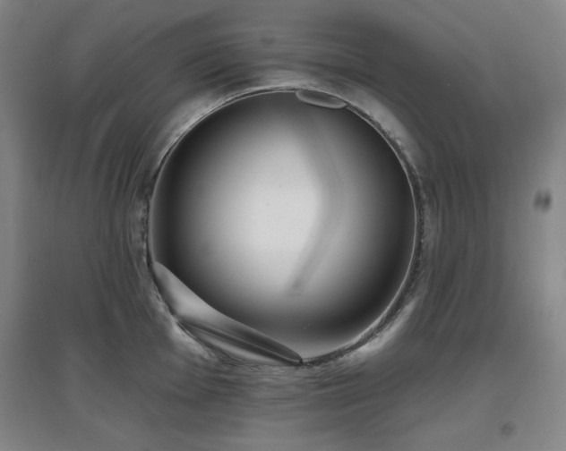 X0000097611001200802291258