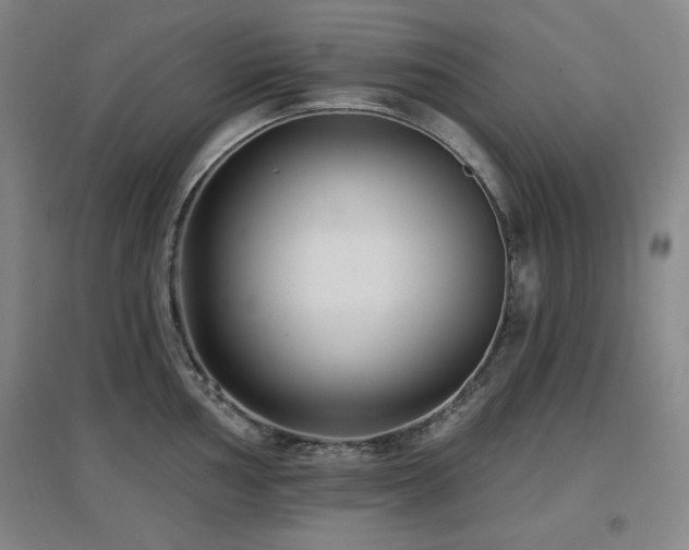 X0000097611002200802291258