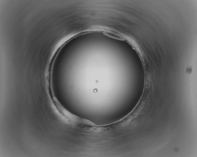 X0000097611003200802291258