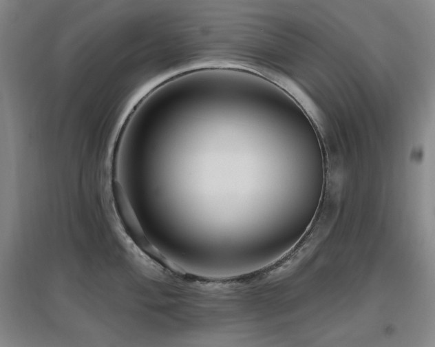 X0000097611004200802291258