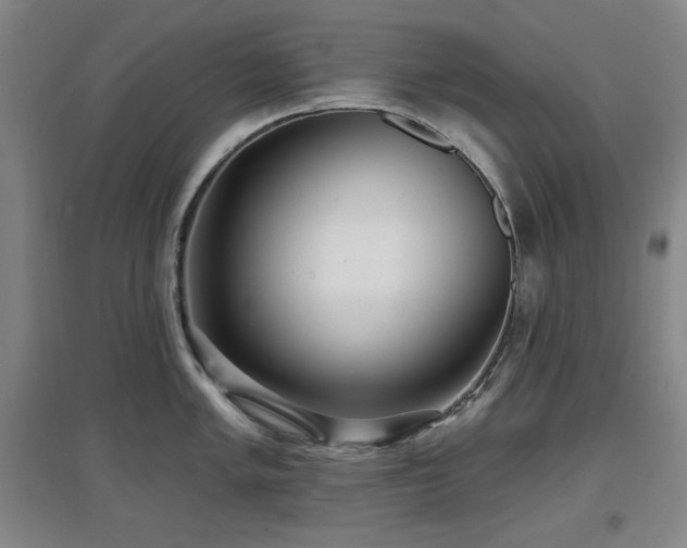 X0000097611005200802291258