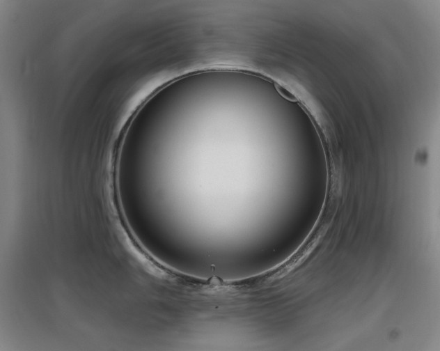 X0000097611006200802291258