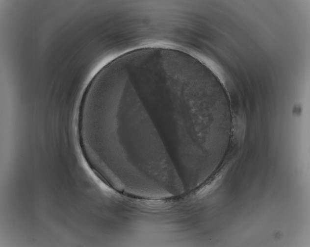 X0000097611007200802291258