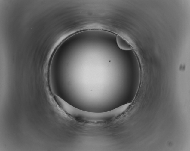 X0000097611008200802291257