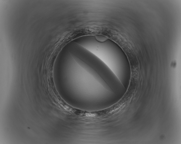 X0000097611009200802291257