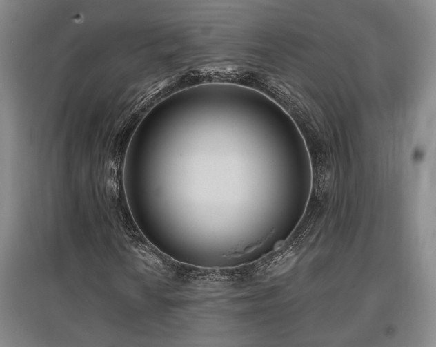X0000097611010200802291257