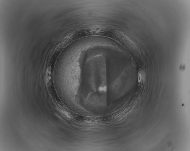X0000097611011200802291257