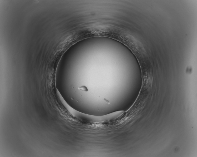 X0000097611012200802291257