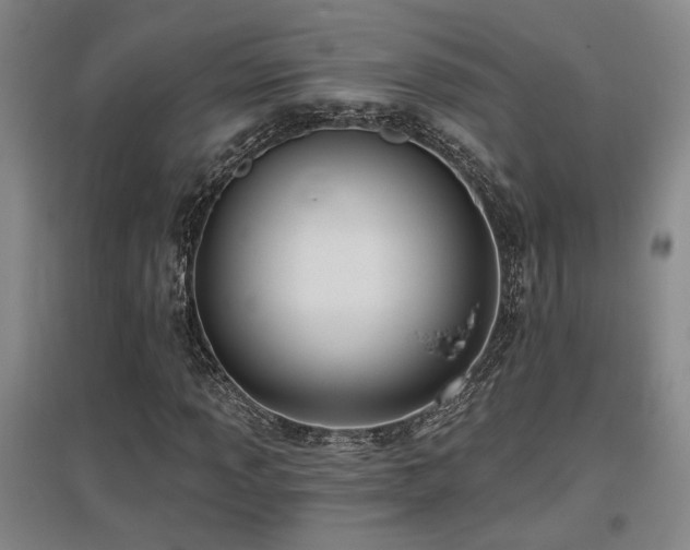 X0000097611013200802291257