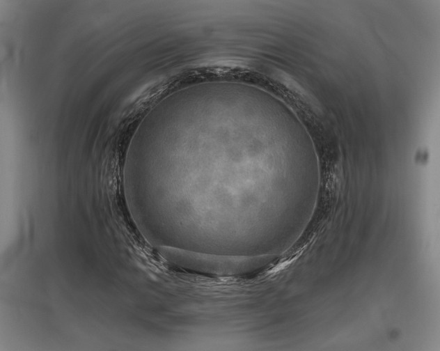 X0000097611014200802291257