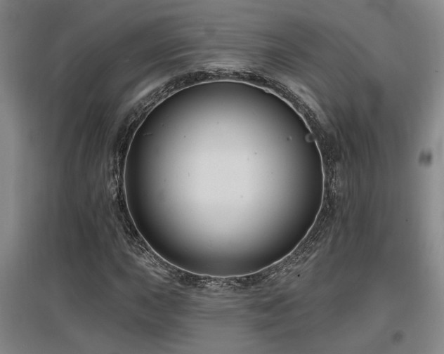 X0000097611015200802291257