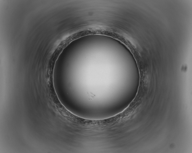X0000097611016200802291257