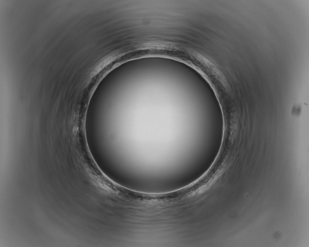 X0000097611017200802291257