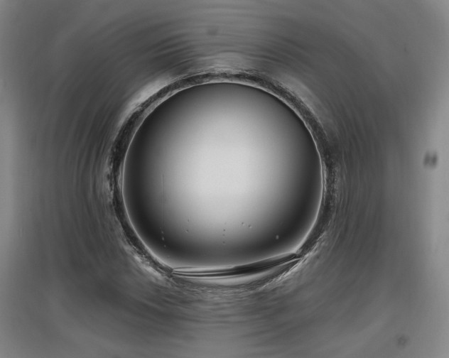 X0000097611018200802291257