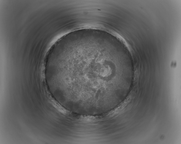 X0000097611019200802291257