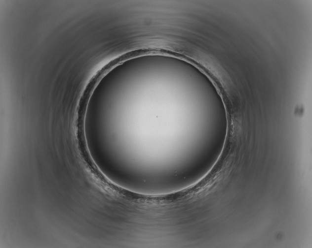 X0000097611020200802291257