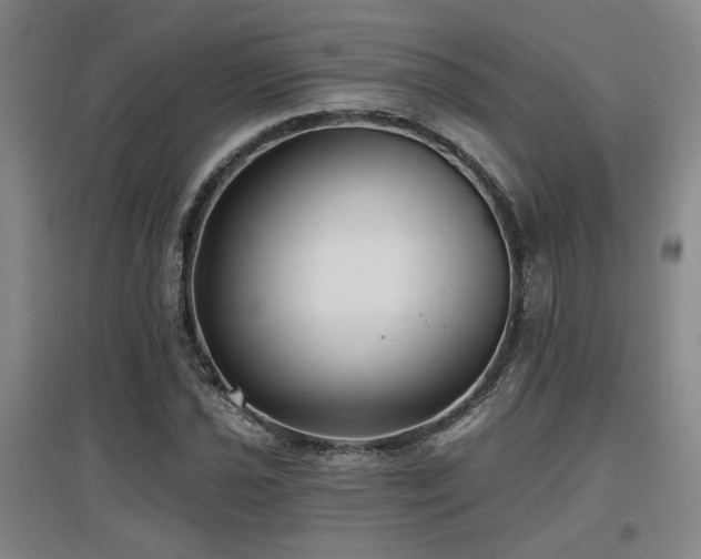 X0000097611021200802291257