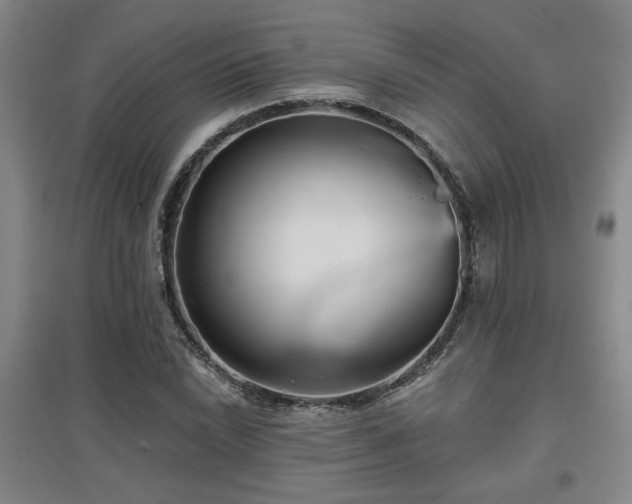 X0000097611022200802291257