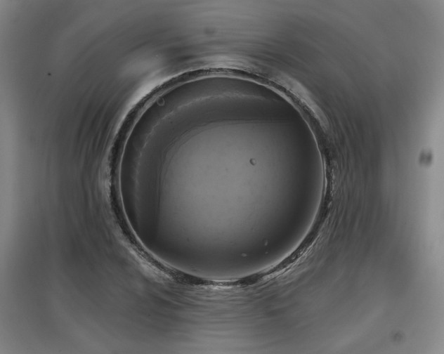 X0000097611024200802291257