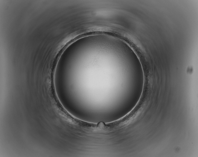 X0000097611025200802291257