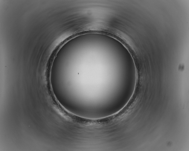 X0000097611026200802291257