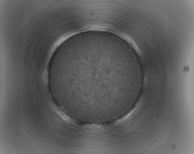 X0000097611027200802291257