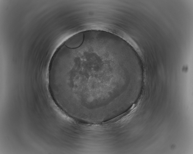 X0000097611028200802291257