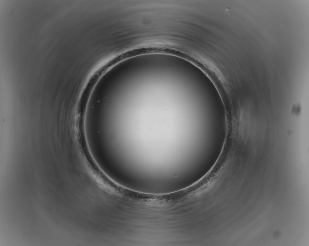 X0000097611029200802291257