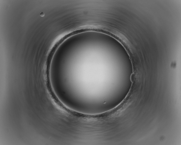 X0000097611030200802291257