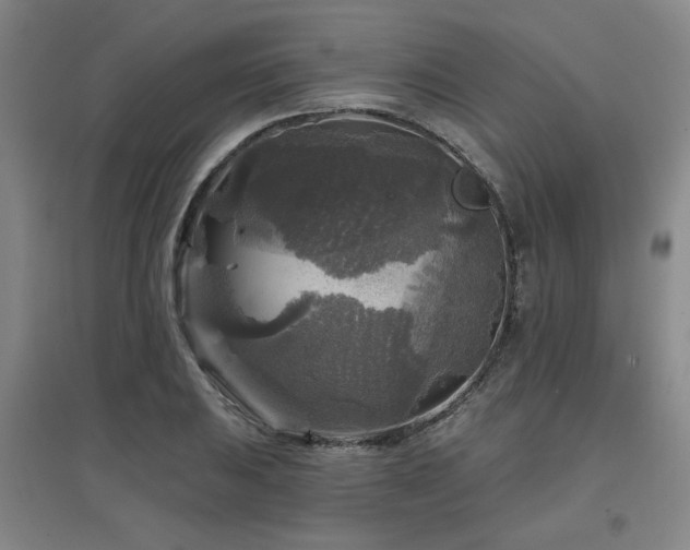 X0000097611031200802291257