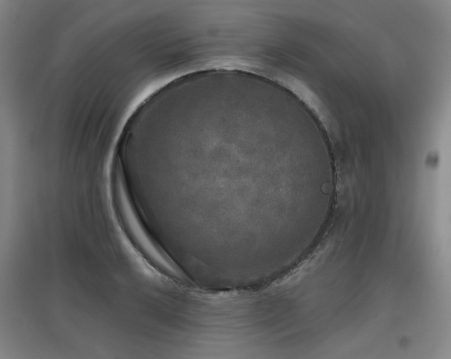 X0000097611032200802291257