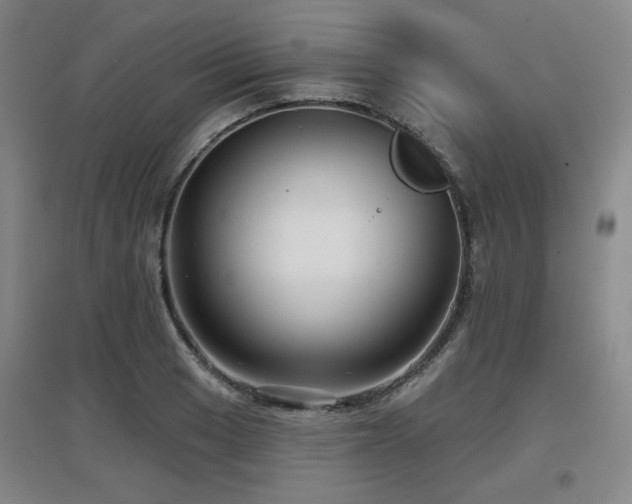 X0000097611033200802291257