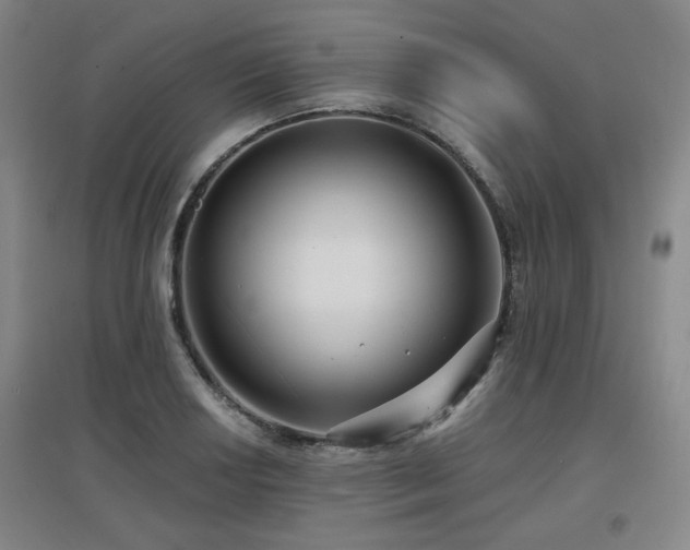 X0000097611034200802291257
