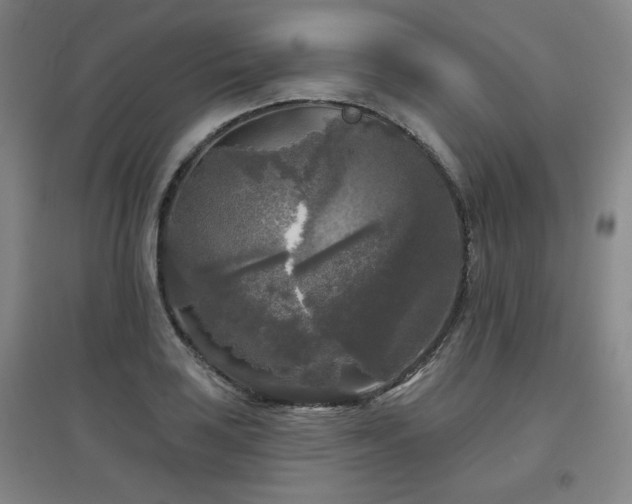 X0000097611035200802291257